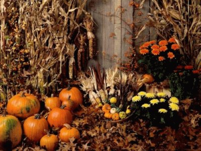 oct30 jigsaw puzzle