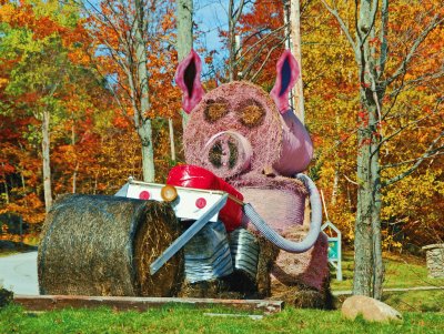 Hay bale pig jigsaw puzzle