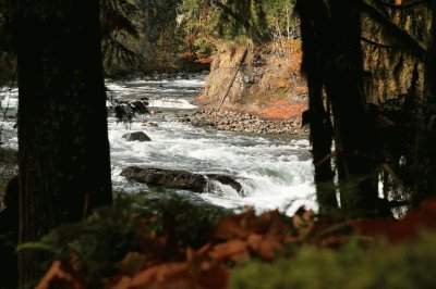 River, Vancouver Island, British Columbia, Canada jigsaw puzzle