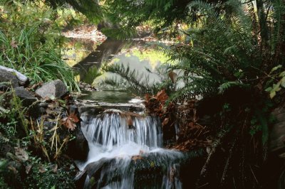 Judy 's Water Fall, Vancouver Island, BC, Canada jigsaw puzzle