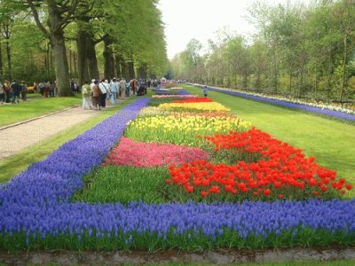 Jardim Holanda 3 nov