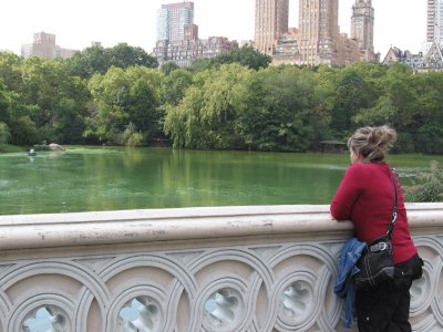 bay bridge central park