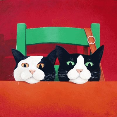 Gatos jigsaw puzzle