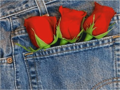 Jeans and Roses jigsaw puzzle