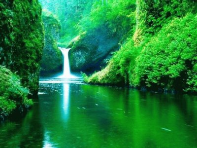 naturaleza y agua jigsaw puzzle