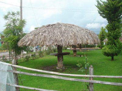 palapa