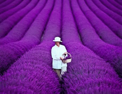 Odeur de provence france