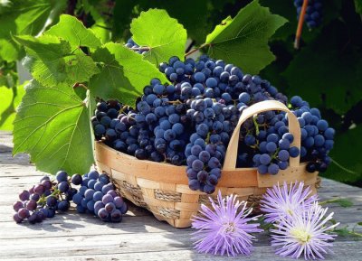 uvas jigsaw puzzle