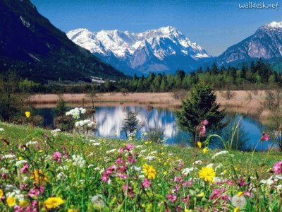 paisaje jigsaw puzzle