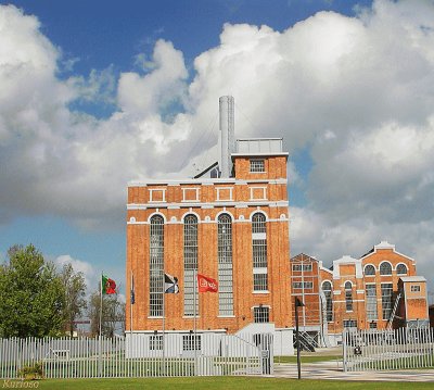 FaraÃ³n