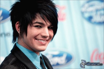 פאזל של its adam lambert on american idol