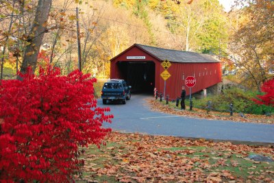 Covered bridge jigsaw puzzle