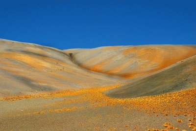 פאזל של Desierto de Atacama - Chile