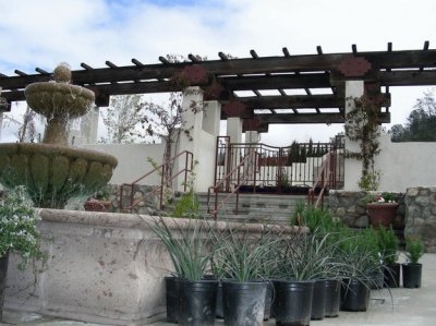 FaraÃ³n