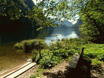 A bench at the lake jigsaw puzzle