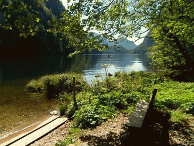 A bench at the lake