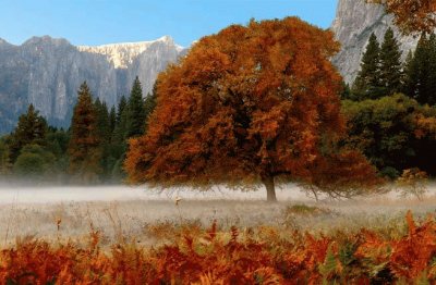 Yosemite jigsaw puzzle