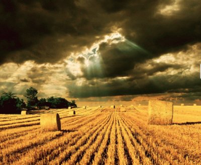 hay field jigsaw puzzle