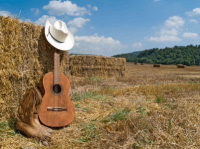 פאזל של country music