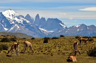 chile jigsaw puzzle