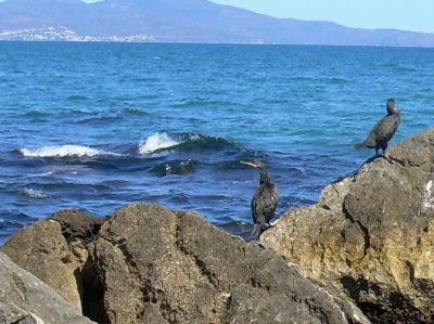 Sant MartÃ­ d 'Empuries