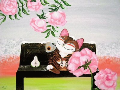 Gatos