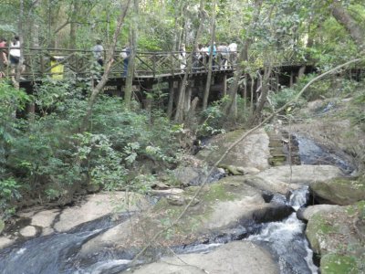 Trilha em São Roque - SP jigsaw puzzle