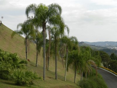 A caminho de São Roque - SP