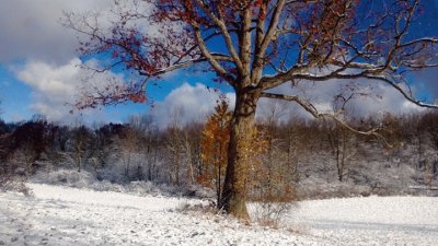 winter in pennsylvania jigsaw puzzle
