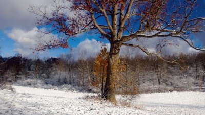 פאזל של winter in pennsylvania