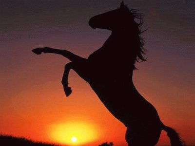 פאזל של Sunset Horse