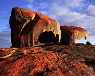 Ilha do Canguru - Australia