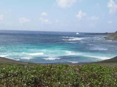 Fernando de Noronha-Brasil jigsaw puzzle