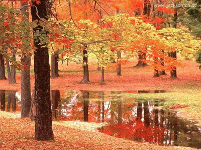 natureza