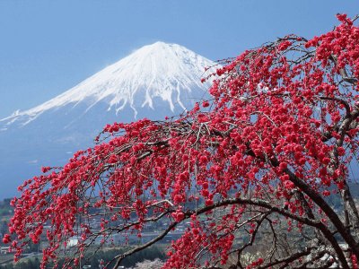 Paisatje jigsaw puzzle