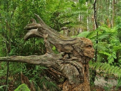 old man tree jigsaw puzzle