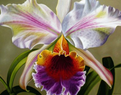 Orquidea jigsaw puzzle