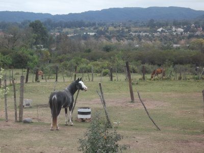 caballito de los Perales jigsaw puzzle