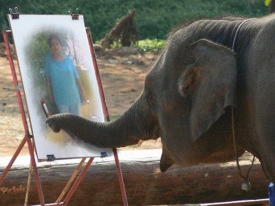 elefante