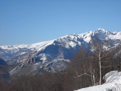 פאזל של alpi liguri