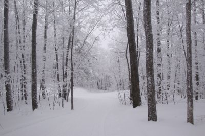 פאזל של snow