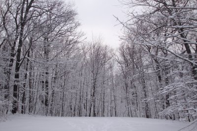 snow
