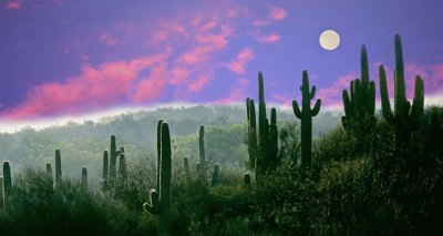 arizona jigsaw puzzle