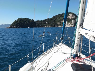 Angra dos Reis jigsaw puzzle