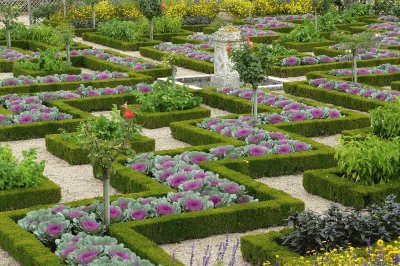 Jardines del chateau Villandry, Francia 1