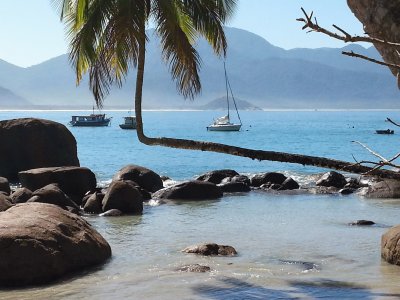 Ilha Grande - Angra dos Reis- Brasil jigsaw puzzle