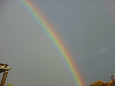 regenbogen