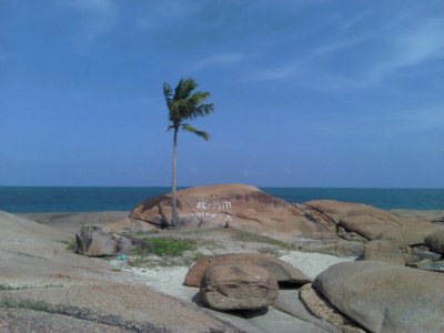 Ilha do coqueiro solitÃ¡rio - PE