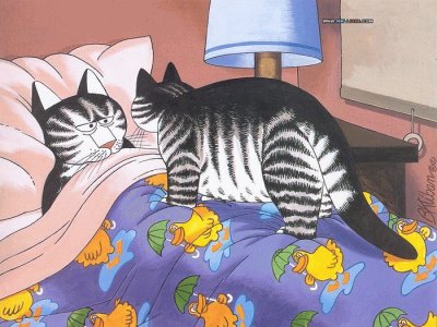 Gatos jigsaw puzzle