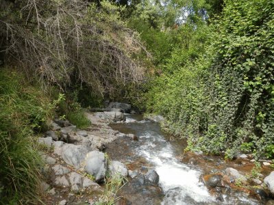 Camino a Salto de Apoquindo